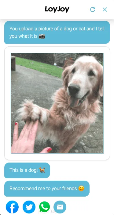 An agent where you can upload a snapchot to the chat.